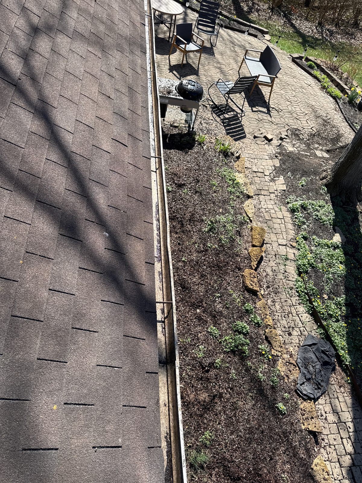 After — Gutter trough cleared of packed pine needles and debris by Shine in Cincinnati