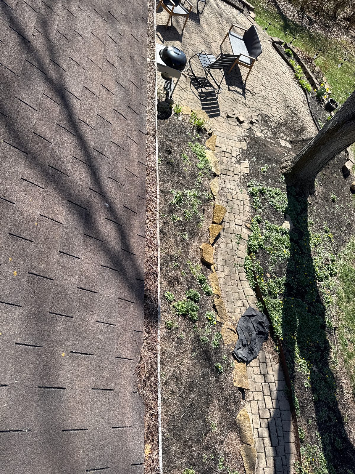 Before — Gutter trough cleared of packed pine needles and debris by Shine in Cincinnati