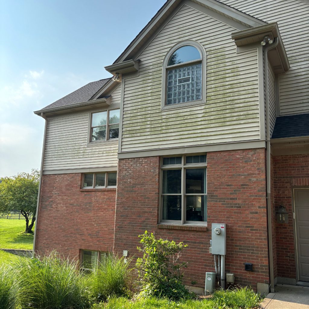 Before — House washing — vinyl siding with heavy algae growth