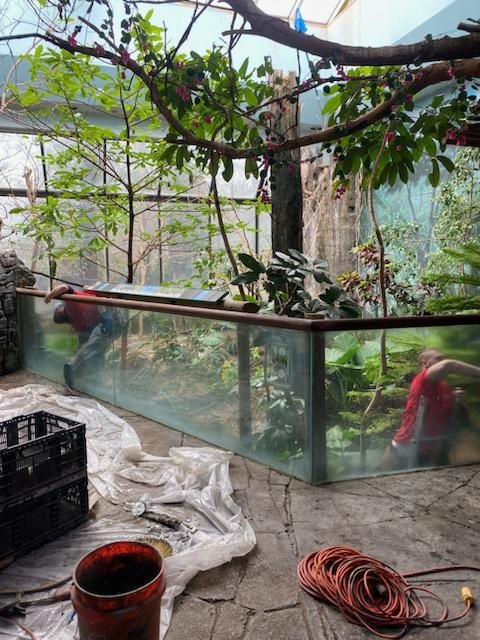 Interior atrium and feature glass cleaned at height — commercial window cleaning by Shine