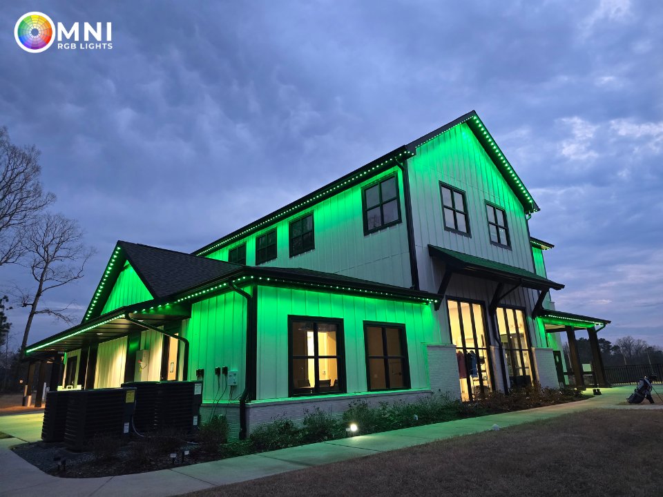 OmniRGB green single-color lighting — manufacturer product example