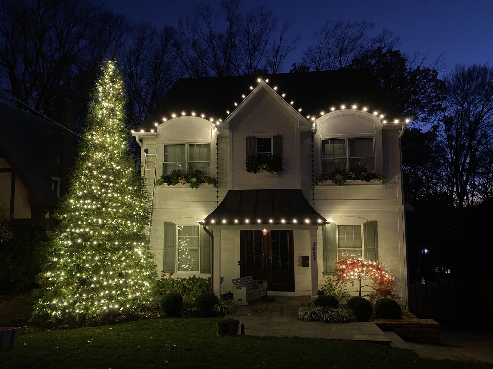 Roofline lighting and a fully lit evergreen at dusk — holiday lighting by Shine in Cincinnati